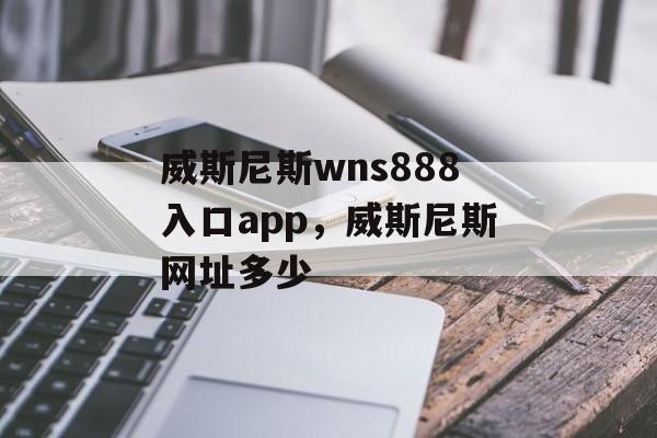 威斯尼斯wns888入口app，威斯尼斯网址多少